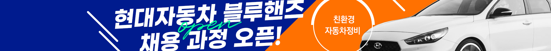 현대자동차 블루핸즈 전기차점검원